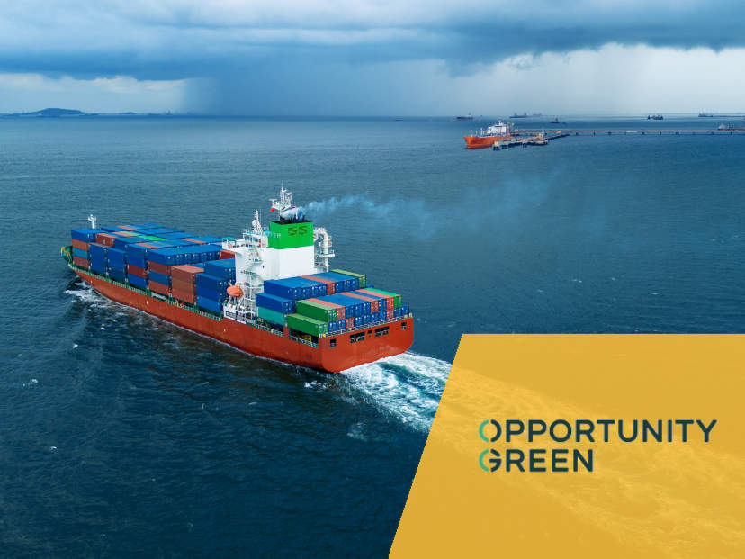 Opportunity Green - case study - featured image